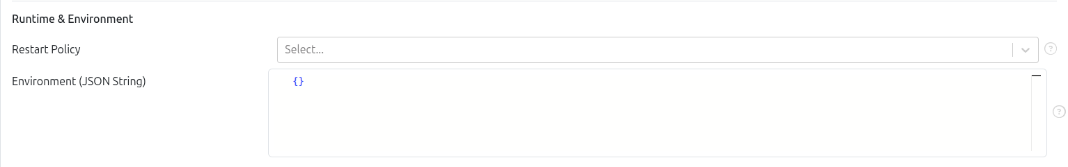 Runtime & Environment Section