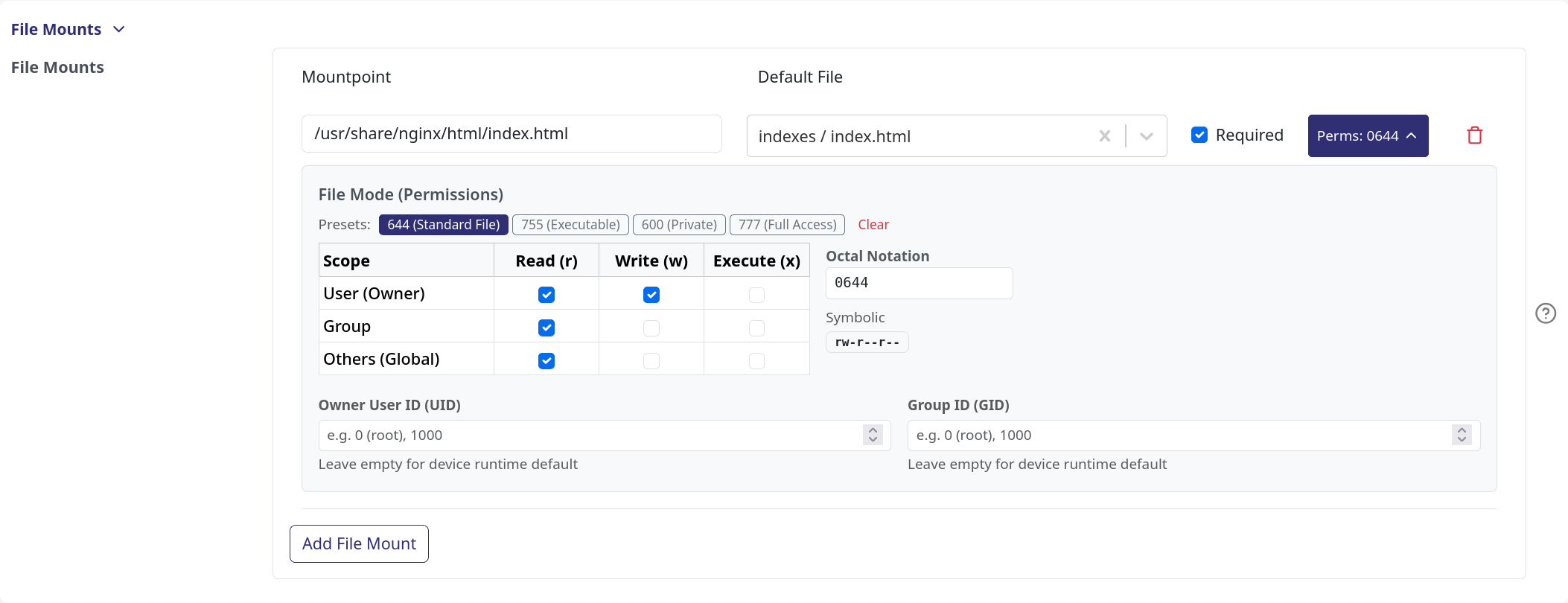 File mount with permissions